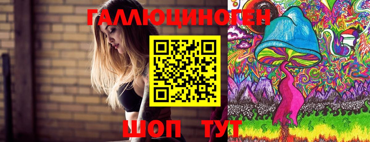 Псилоцибиновые грибы Cubensis Дмитров
