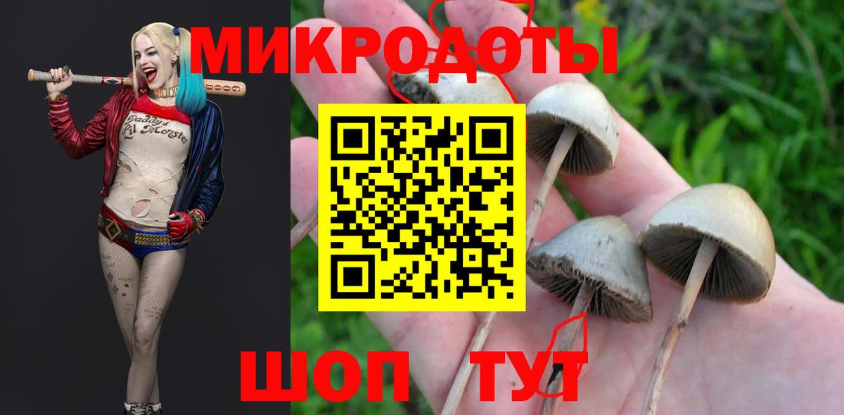 Псилоцибиновые грибы Psilocybe  Вход с VPN  закладка  Дмитров 